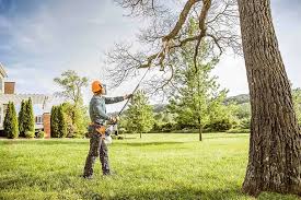 Best Tree Planting Services  in Santa Nella, CA